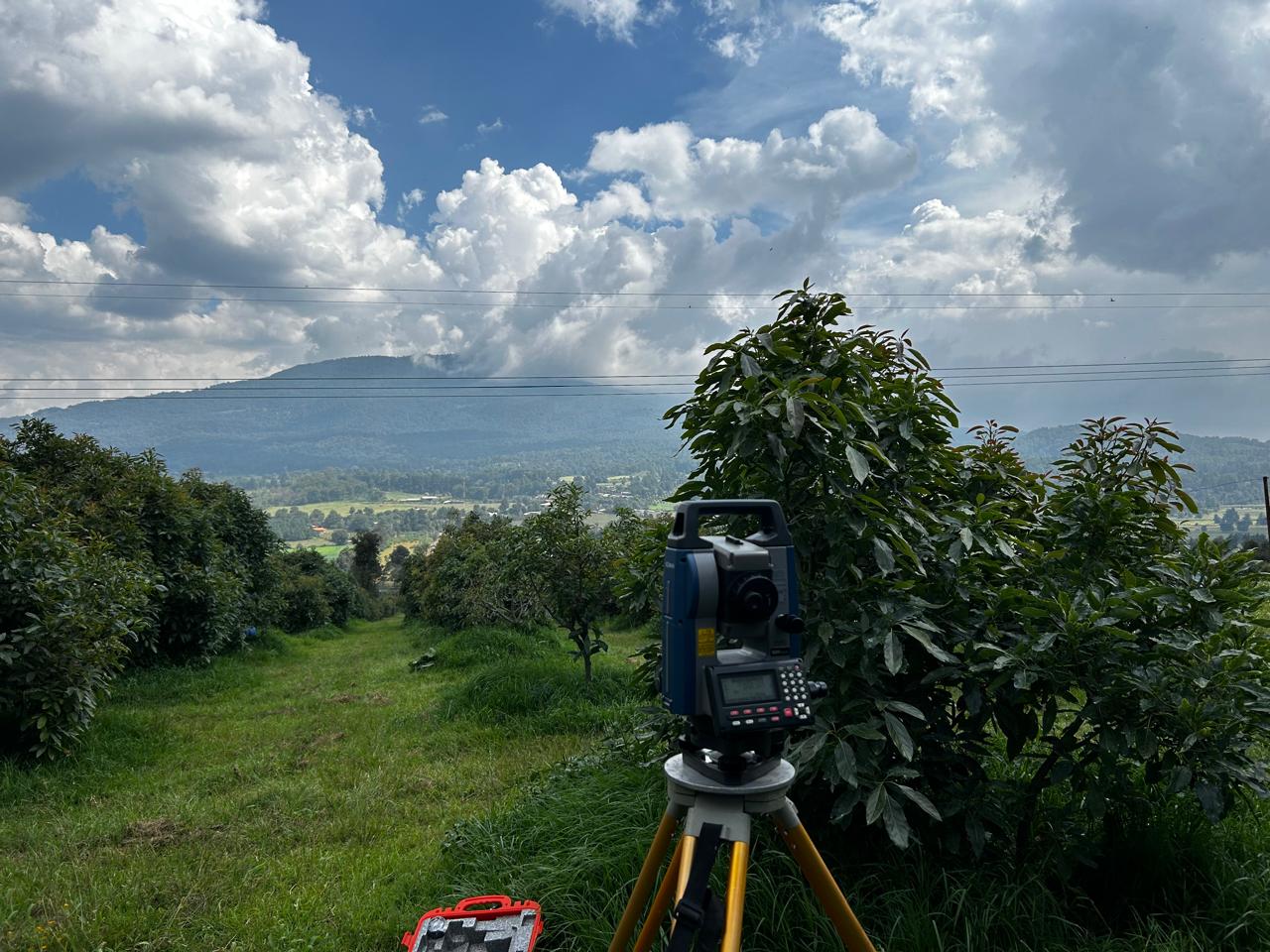 Levantamiento topográfico en huerta